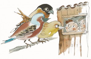 Vogelbeobachtung