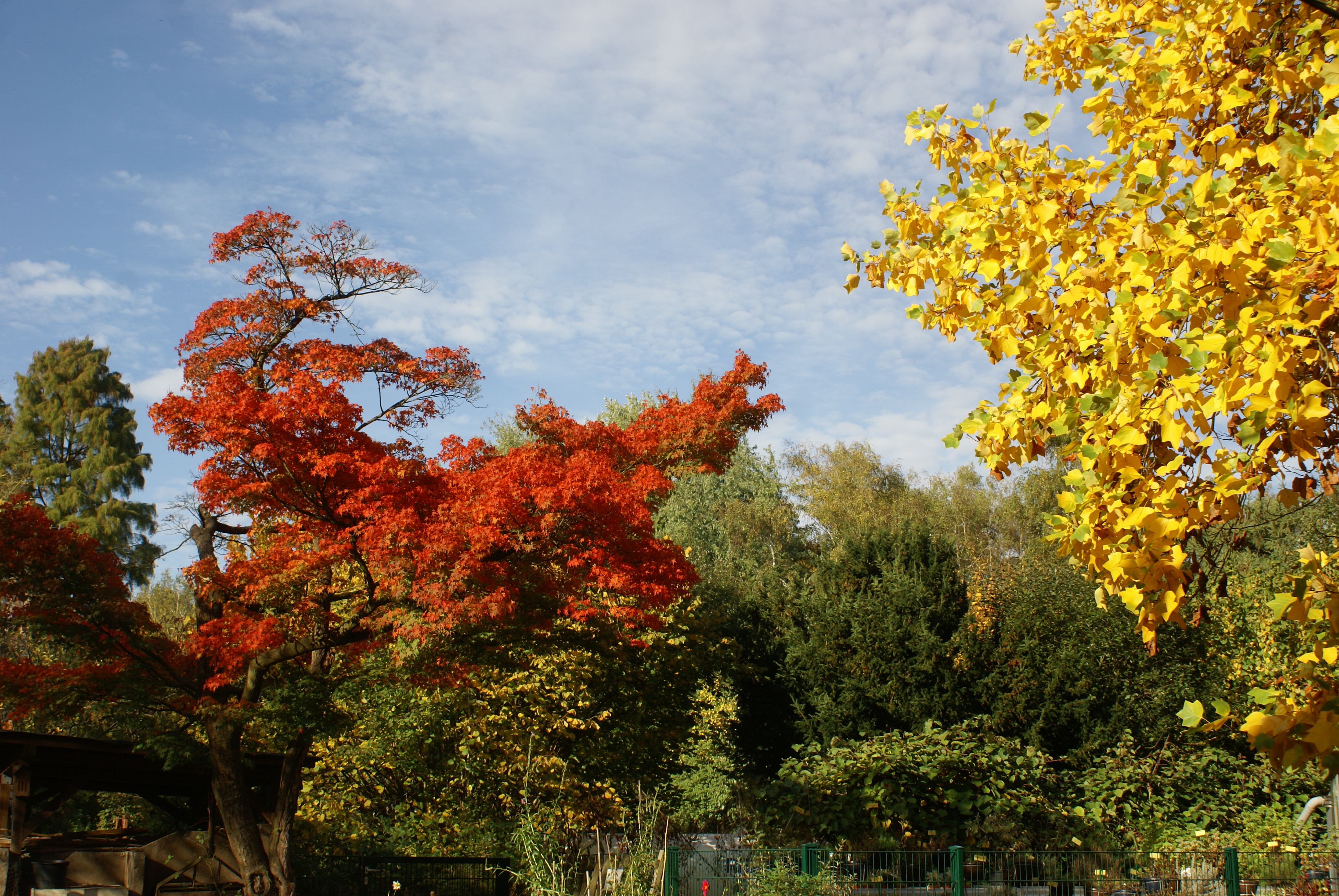 Offene Herbstführung für Erwachsene