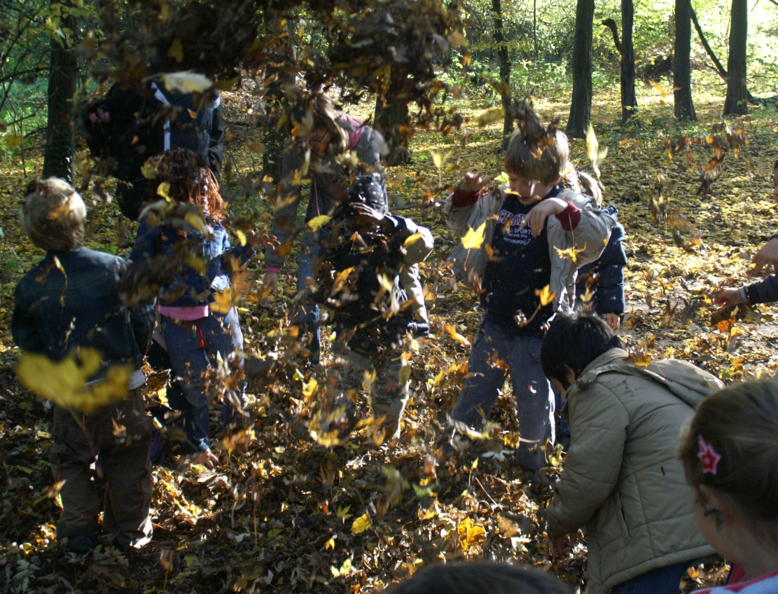 Offene Herbstführung  für Kinder (6-10-Jährige) in Begleitung