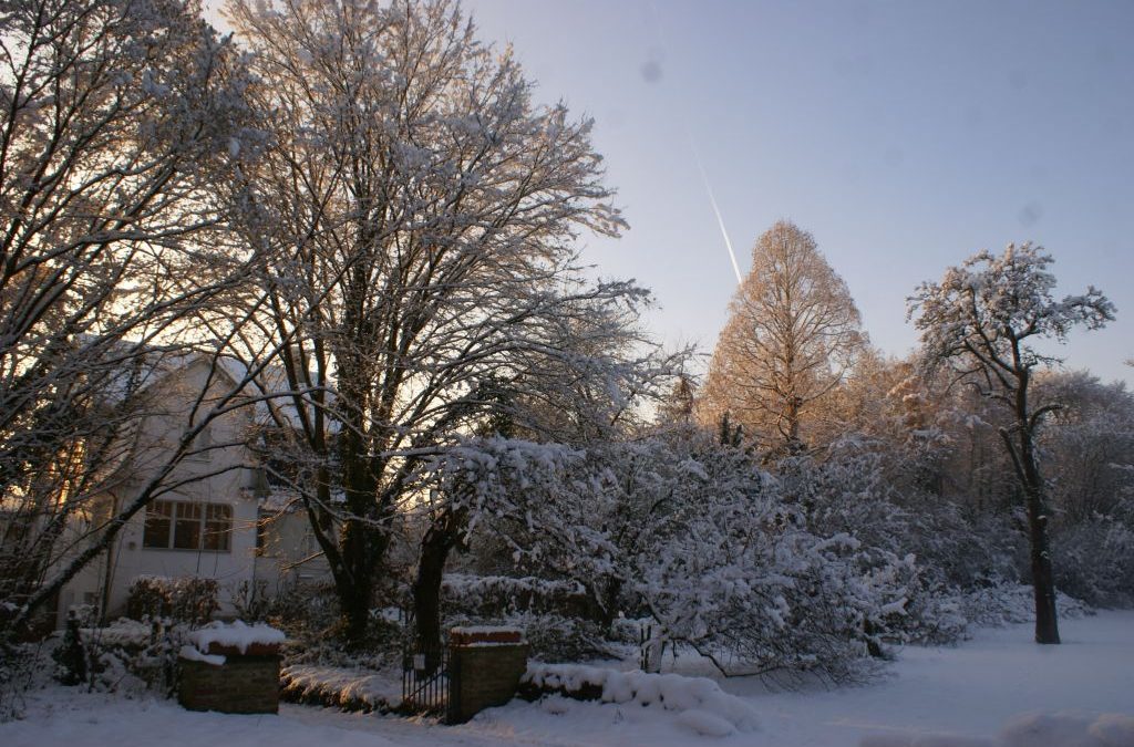 Finkens Garten wünscht alles Gute