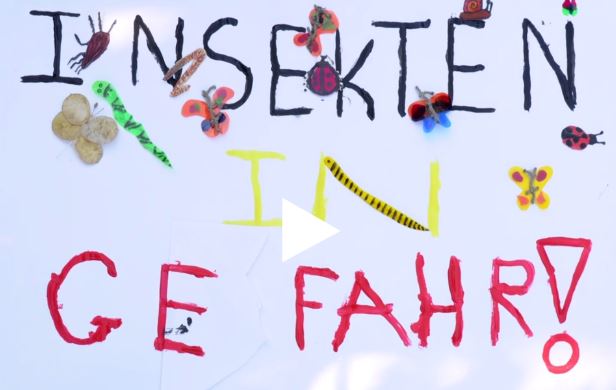 Trickfilmprojekt “Insekten in Gefahr”