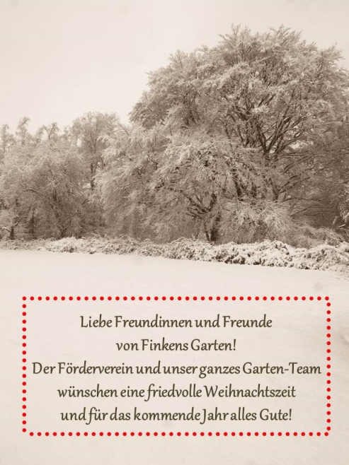 Frohe Weihnachten