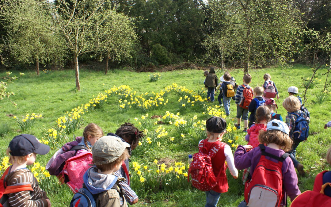 Jetzt schon an den Frühling denken…